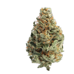 Chocolate Skunk