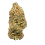 Jungle Cake